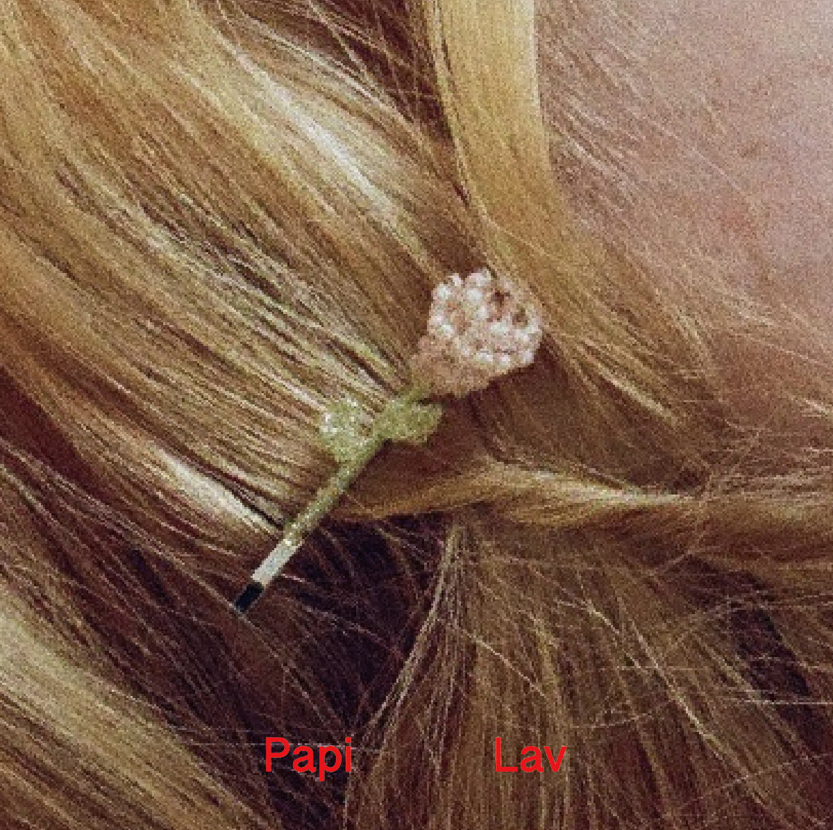 CONFESSION HAIRCLIP